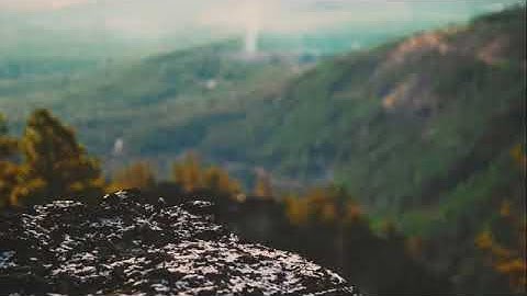 تلاوة هادئة وجميلة ارح سمعك وفؤادك القارئ حاتم المالكي