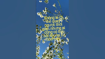 câu nói truyền động lực #truyencamhung #dongluc #baihoccuocsong #trietlycuocsonghaynhat#shorts