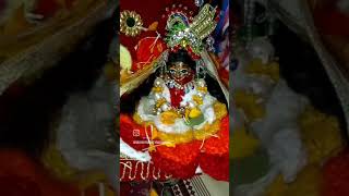 laddu gopal ji or Radha Rani ke shringar darshan ?❤️ Radhey Radhey