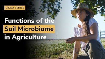Functions of the Soil Microbiome in Agriculture