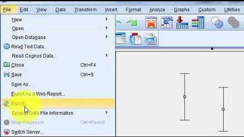 Transferring SPSS output to MS Word