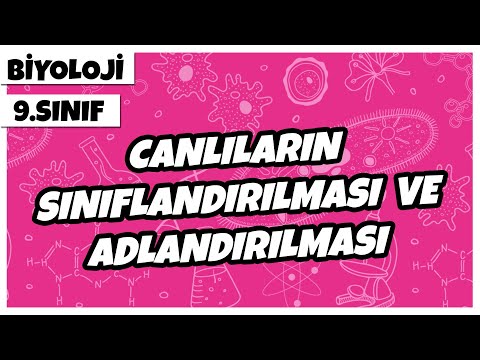 9. Sınıf Biyoloji - Canlıların Sınıflandırılması ve Adlandırılması