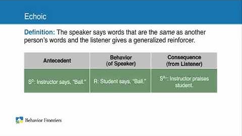Verbal Behavior - Autism Therapy Video