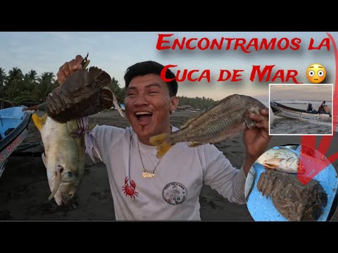 Encontraron la Cuca Mas Grande Del Mar 😱