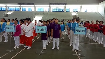 Thai cực phiến 52 thức tô thiếu Kiệt