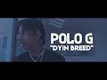 Polo G - Dyin Breed (Lyric Video)