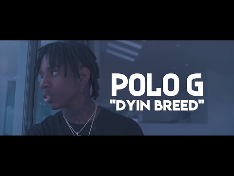polo-g---dyin-breed-(lyric-video)