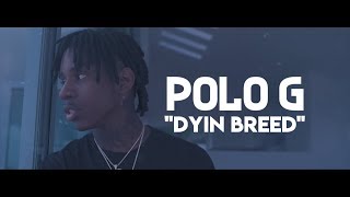 Polo G - Dyin Breed (Lyric Video)