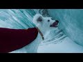 سوبرمان مواجهة مصير When The Truth Is Revealed Superman Faces The Secret That Changed Everything سوبرمان مواجهة مصير When The Truth Is Revealed Superman Faces The Secret That Changed Everything