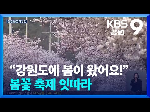 …봄꽃 <strong>축제</strong> 잇따라 / KBS  2026.04.03.