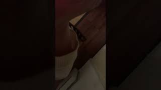 IMG 0499