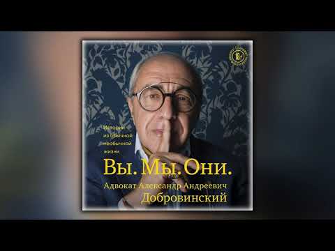 Вы. Мы. Они. Истории из обычной необычной жизни - Александр Добровинский - Аудиокнига