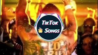 Low (TikTok Remix 2021) Flo Rida (feat. T-Pain) Tik Tok Remake