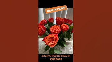 Thumbnail of Rest in Peace, Mr. Margaritaville! #jimmybuffett #margaritaville song #popstar #bar #restaurant