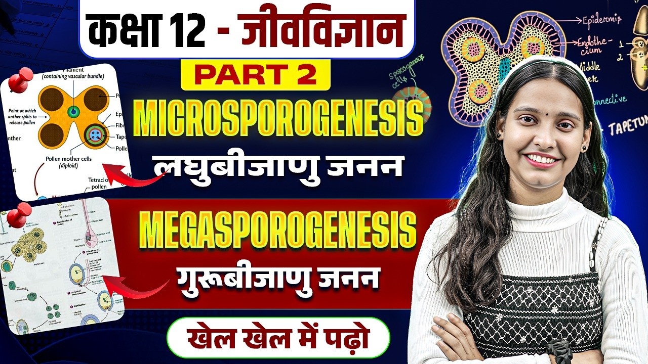 Microsporogenesis & Megasporogenesis (Part 2) | Reproduction in Flowering Plants | Class 12 Biology