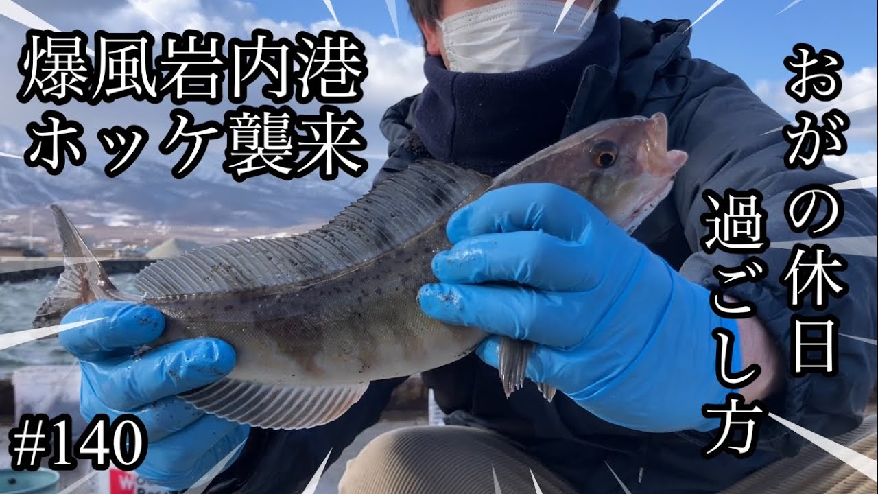 オガの休日過ごし方#140爆風岩内港ホッケ襲来