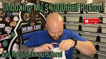 Unboxing My New $4,000 Ball Python + Its Finally Time For The Giveaway!
