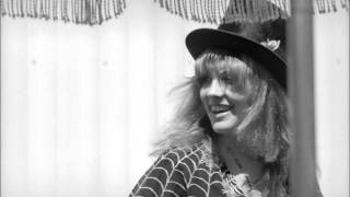 Video thumbnail of "Stevie Nicks - Wild Heart"