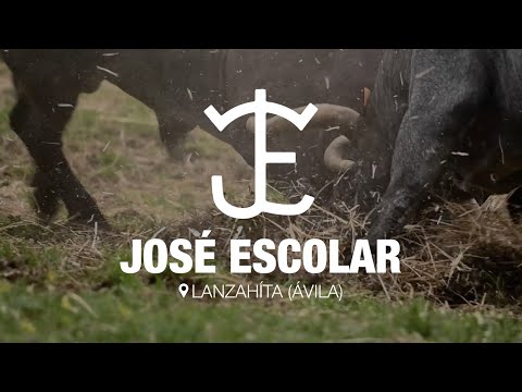 Gran reportaje en la ganadería de José Escolar, antes de su participación en la Copa Chenel