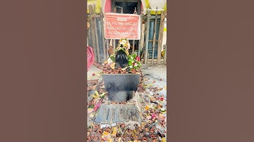 Har har mahadev / Bholenath status video / Shivji status / mahadev status #ytshorts #shorts #short