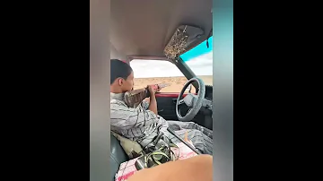مقنص البلشون و الدحروج صيد ابلشون و الدو 2020 بدمصر بدومطروح 