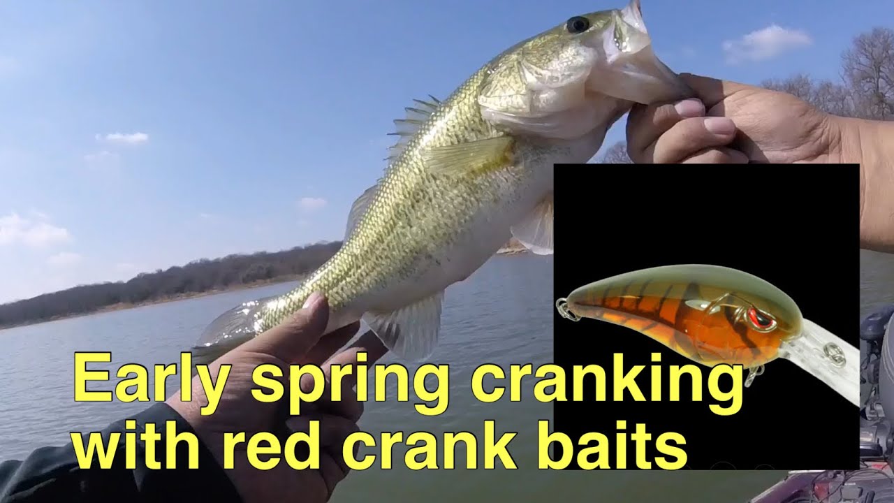 Early spring bass fishing with red crankbaits on lake Aquilla