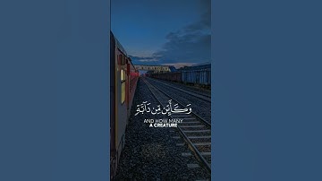 سورة العنكبوت | 58 - 60 | القارئ : #عبدالرحمن_مسعد #quran #راحة_نفسية #viral #foryou #اجر_لي_ولكم🤎.