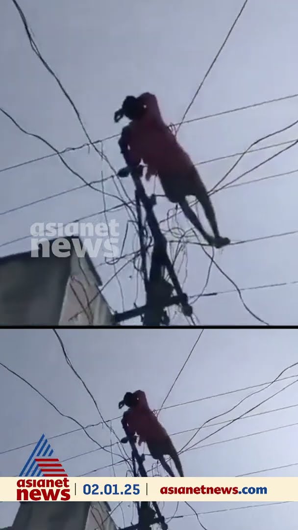വിളച്ചിൽ എടുക്കരുത് കേട്ടോ.. ആന്ധ്രയിൽ ഇലക്ട്രിക് വയറിന് മുകളിൽ കിടന്ന് മദ്യപൻ