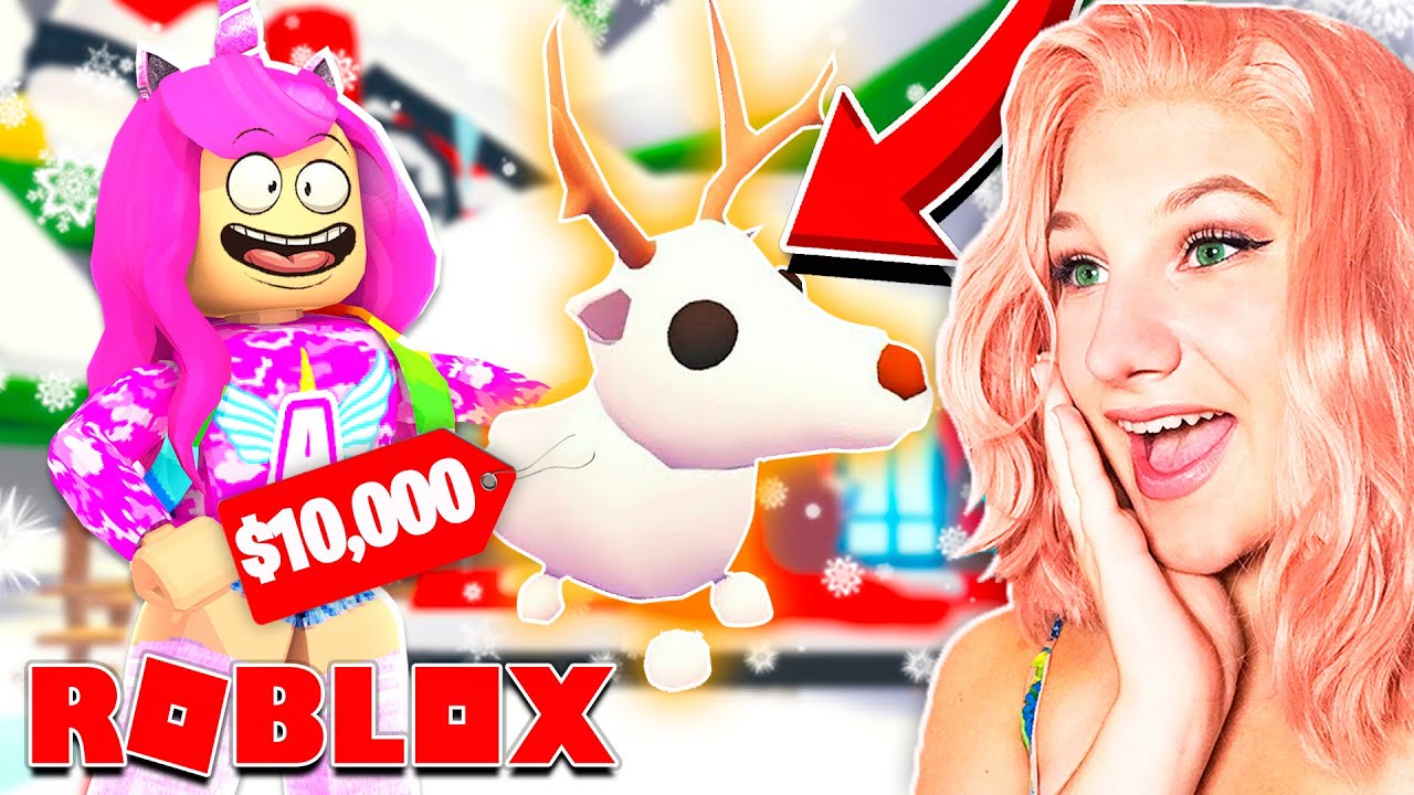 I Spent 500000 Robux On Christmas Eggs To Get New Arctic Reindeer Roblox Adopt Me Update - 6 pack roblox get 500 000 robux