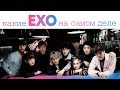 ИСТИННОЕ ЛИЦО УЧАСТНИКОВ EXO | KPOP ARI RANG