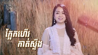 Video thumbnail of "ក្អែកហើរកាត់ស្ទឹង - ទៀង សុផានី, Ka Ek Her Kat Steng - Teang Sophany - Moyura"