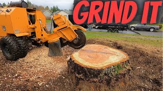 Stop Trying To Dig Up Tree Stumps!