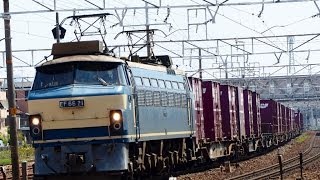 EF66-21牽引 2095レコンテナ貨物列車(清州~稲沢で撮影)