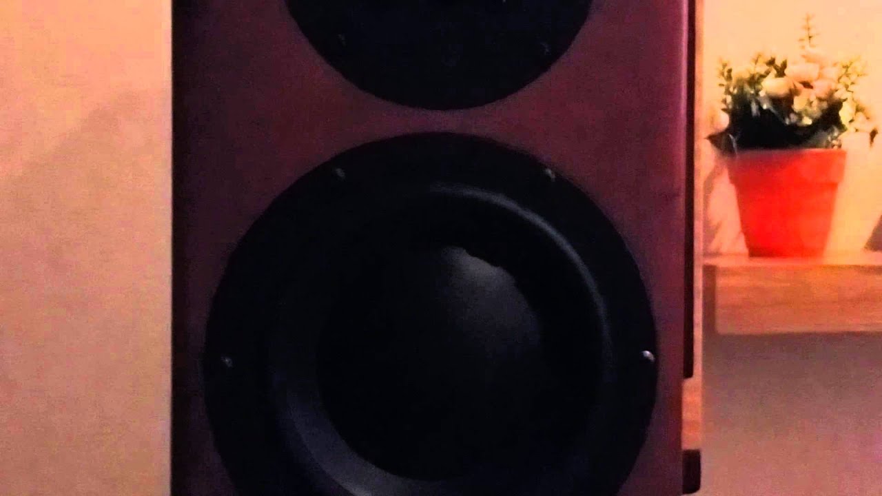 Totem model 1 Sig.& Jeff Rowland Continuum500