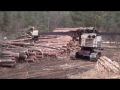 Meza Logging Black Hills 2017