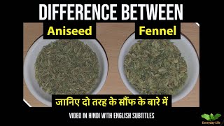 Difference between Aniseed and Fennel | Sauf | दो तरह के सौंफ -पतली और मोटी सौफ  | Everyday Life #81 screenshot 2