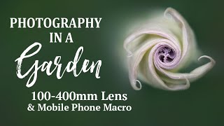 Garden Photo Walk with a 100-400mm Lens and Mobile Phone Macro Photography