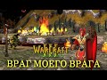 #5 Враг моего врага / Warcraft 3 Забытая Война прохождение
