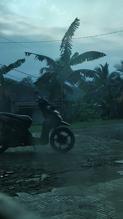 Walisongo - Ning Umi Laila #storywa #story #masukberanda