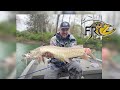 Curtis Vs The WV Musky