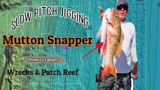 Slow Pitch Jigging | Mutton Snapper | How To Target Wrecks and Patch Reef | Offshore Fishing