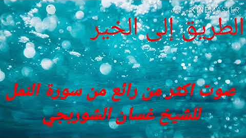 تلاوة خاشعة من سورة النمل للشيخ غسان الشوربجي