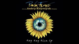 Pink Floyd feat. Andriy Khlyvnyuk of BoomBox-Hey, Hey, Rise Up! (Audio)