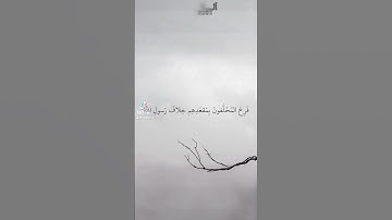 ماهر المعيقلي - سورة التوبة