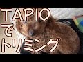 [初体験] スピーディクバリカンでトリミングをやってみたｗｗｗ