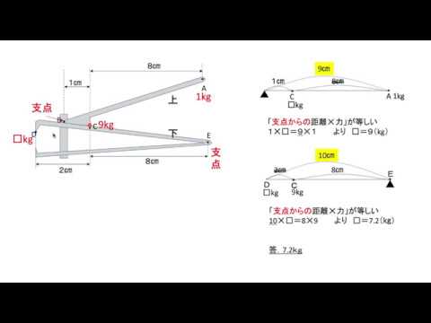 爪切り 身近な てこ Youtube