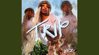 Video thumbnail of "V.C.R - TRiP"