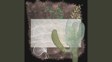 Carefree Music for Forgetting Time