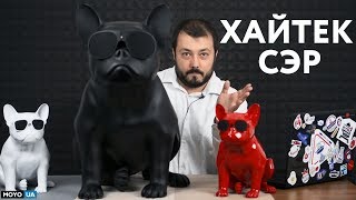 Собака для хайтек-сэра - обзор AEROBULL XS1 и HD Собака для хайтек-сэра - обзор AEROBULL XS1 и HD