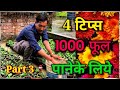 अभी करें गुलदौडी में ये काम/ गुलदौउदि में सिर्फ 4 टिप्स फॉलो करें / Chrysanthemum Part lll